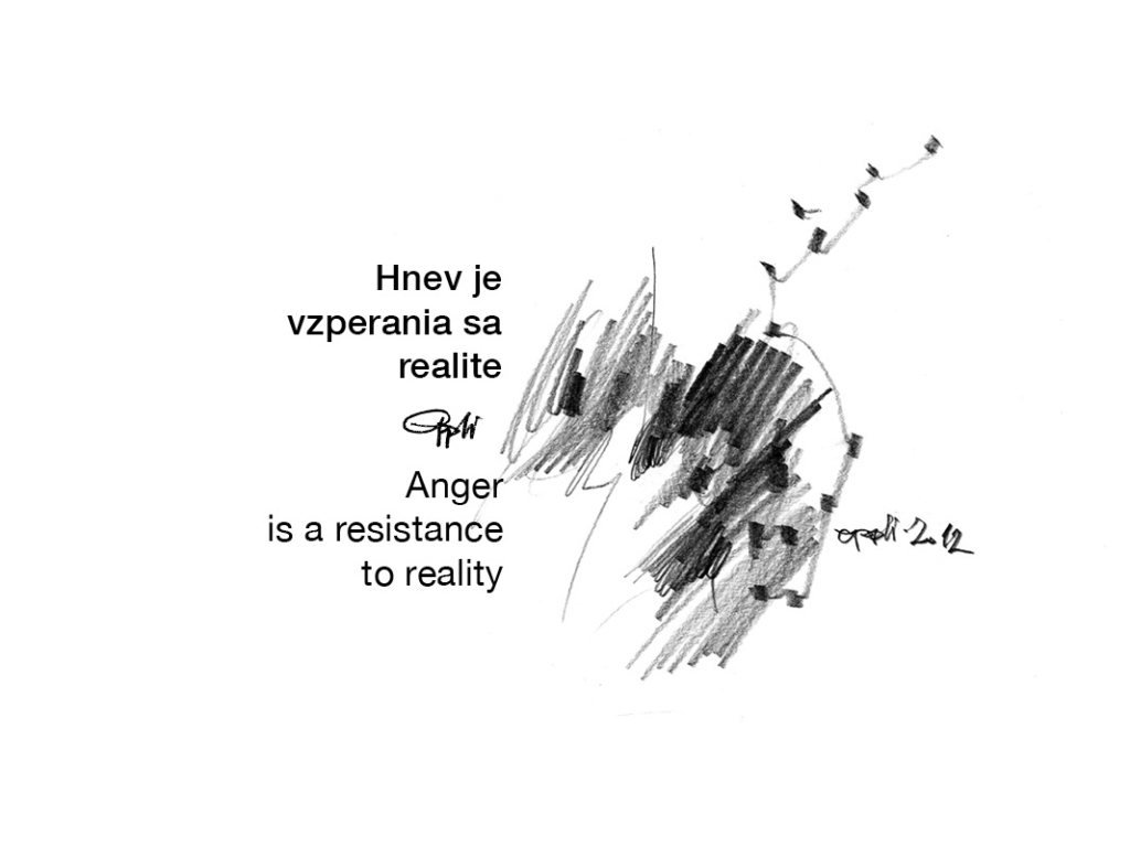 eppli_anger-is-a-resistance-to-reality-Hnev-je-vzpieranie-sa-realite
