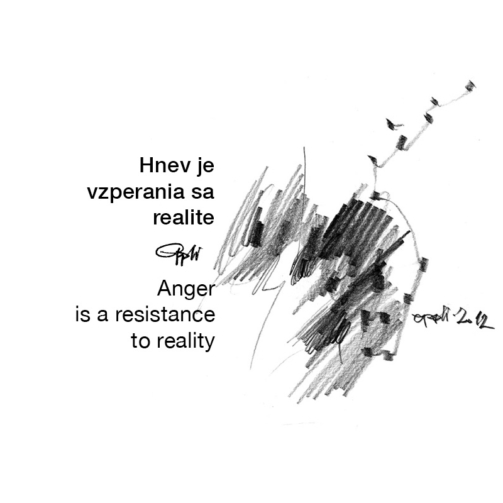 eppli_anger-is-a-resistance-to-reality-Hnev-je-vzpieranie-sa-realite